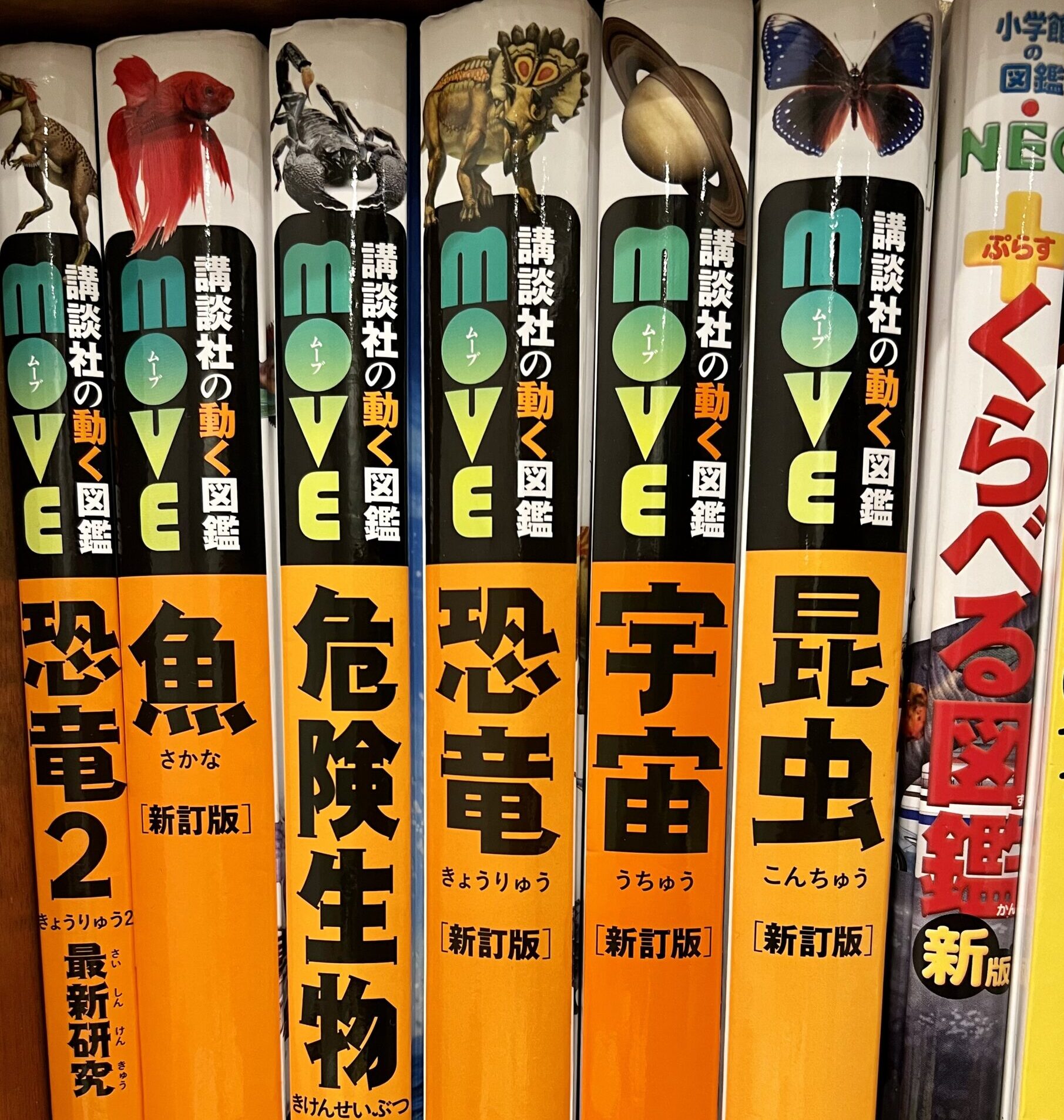 図鑑で好奇心を広げていく4歳